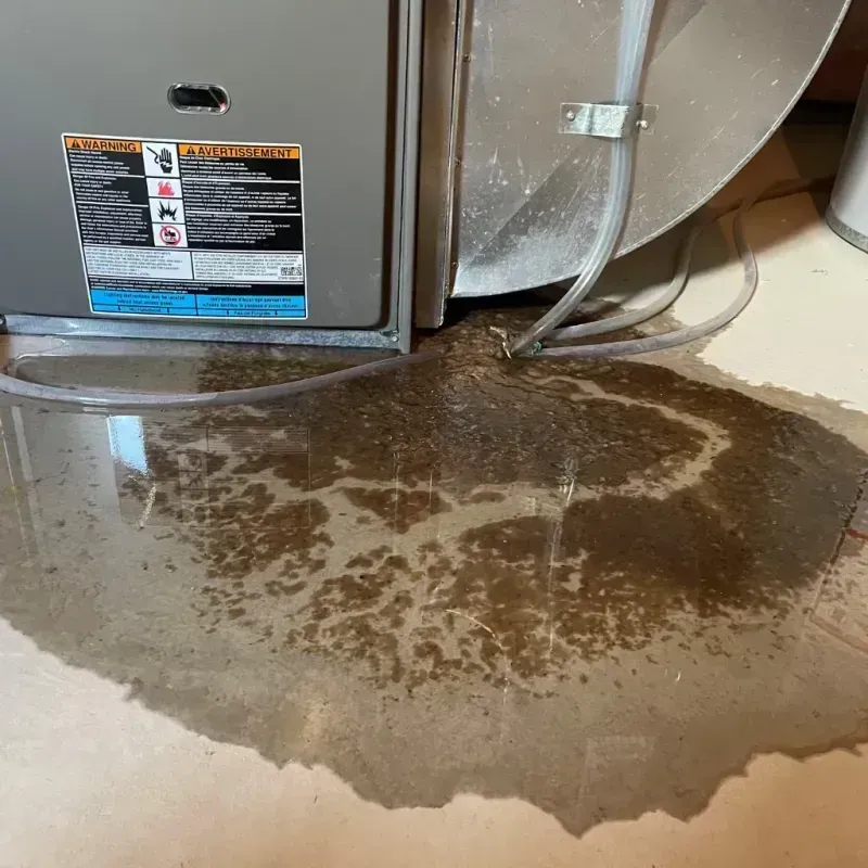 Appliance Leak Cleanup in Moss Beach, CA